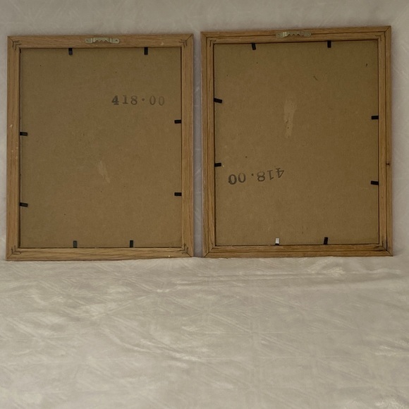 Framed Nautical Seahorse & Copperband Butterfly Fish Print By Paul Brent‎ - Picture 4 of 4